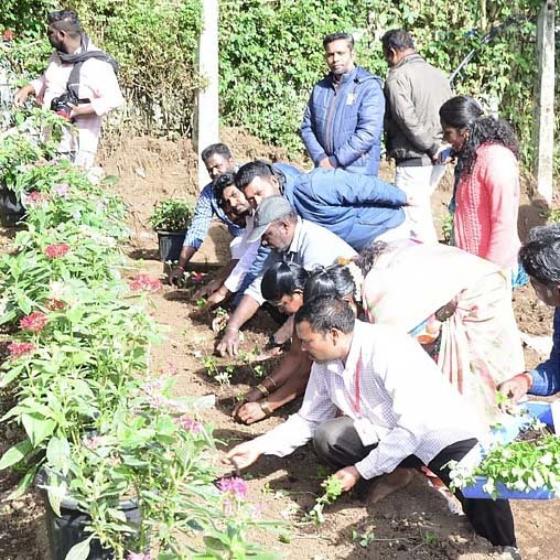 63-வது மலர்க் கண்காட்சிக்கு தயாராகும்  கொடைக்கானல் பிரையன்ட் பூங்கா